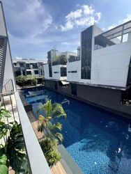 Sunrise Avenue (D28), Terrace #498538601